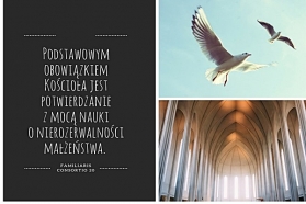 Mini niezbędnik rodzinny na Adwent