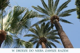 Święty tygodnia - 25 lipiec - święta Olimpia