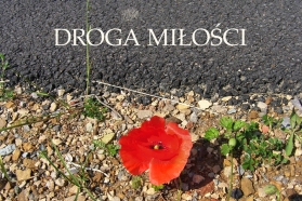 Kopaszewska Droga Krzyżowa - Drogą Miłości