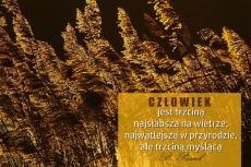 Myślący człowiek słucha Boga